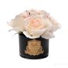 96CN-RB621 Диффузор Five Rose Blush, спрей Rose oud 10мл в уп. в Нижнем Новгороде