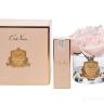96CN-RB66 Диффузор Five Rose French Pink, спрей White Gardenia 10мл в упак. в Нижнем Новгороде