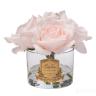 96CN-RB66 Диффузор Five Rose French Pink, спрей White Gardenia 10мл в упак. в Нижнем Новгороде