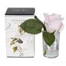 96CN-R46 Диффуз.Rose Bud French Pink,спрей White Gardenia 5мл уп в Нижнем Новгороде