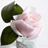 96CN-R46 Диффуз.Rose Bud French Pink,спрей White Gardenia 5мл уп в Нижнем Новгороде