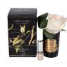 96CN-RB42 Диффузор Rose Bud Pink, спрей Rose Petal 5мл в упак. в Нижнем Новгороде
