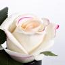 96CN-RB42 Диффузор Rose Bud Pink, спрей Rose Petal 5мл в упак. в Нижнем Новгороде