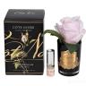 96CN-RB46 Диффузор Rose Bud Frech Pink, спрей Pink Peonies 5м уп в Нижнем Новгороде