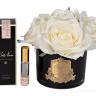96CN-RB61 Диффузор Five Rose White, спрей White Gardenia10мл,уп. в Нижнем Новгороде