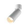 Потолочный светильник Technical C055CL-L12W2.7K-Z-W в Нижнем Новгороде